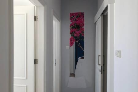 Kings Palace - Superb 2 Bed Ground Floor Apartment Paphos Eksteriør bilde